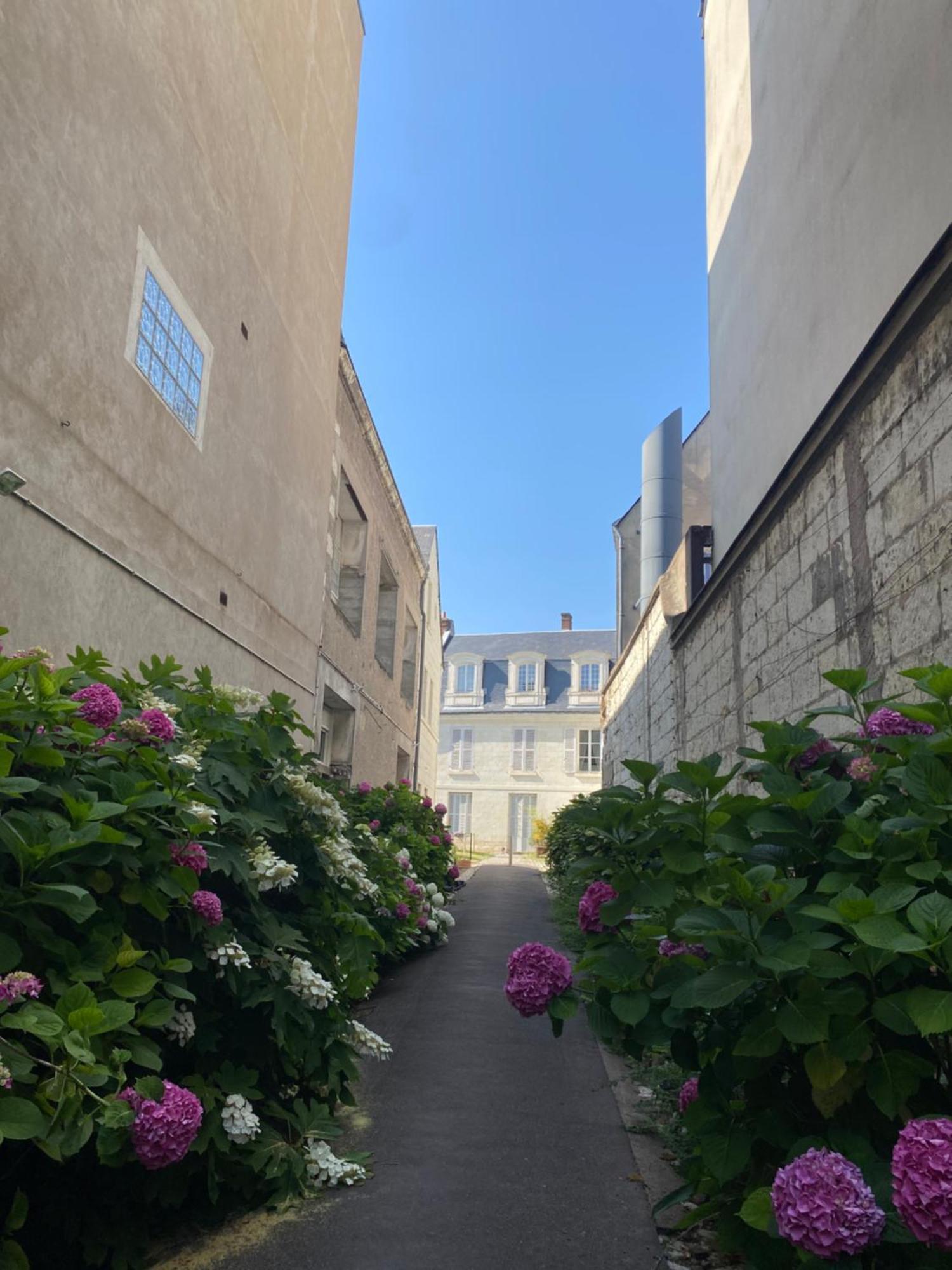 Quartier Halles 70m2 Apartment Tours